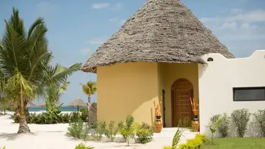 Gold Zanzibar