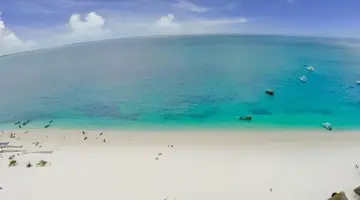 Gold Zanzibar