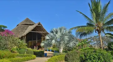 Gold Zanzibar