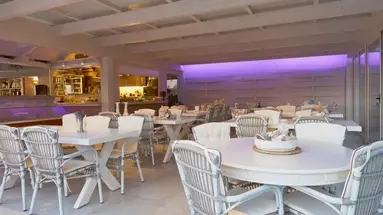 Golden Bay Apartments-Garden Haven