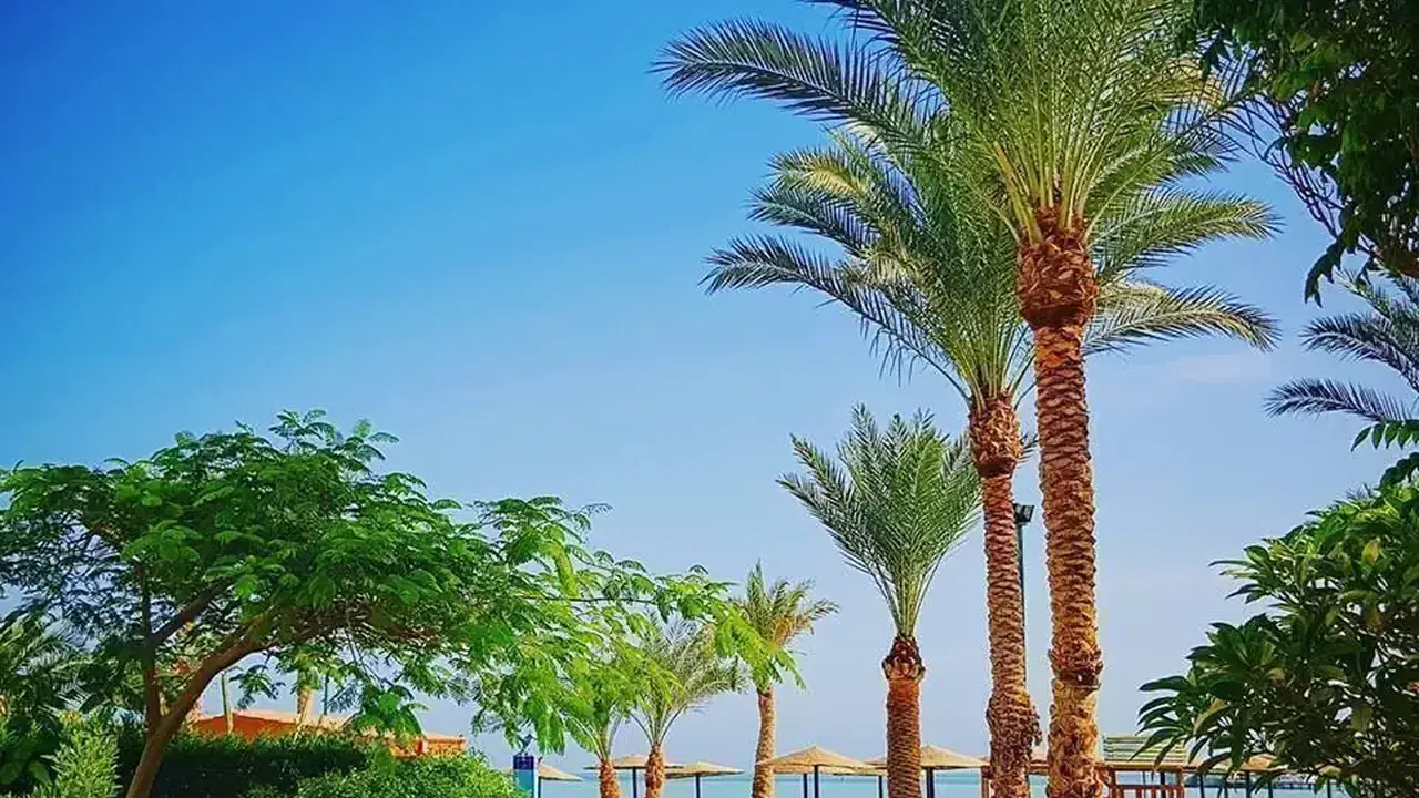 Golden Beach Resort (Ex. Movie Gate)