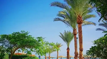 Golden Beach Resort (Ex. Movie Gate)