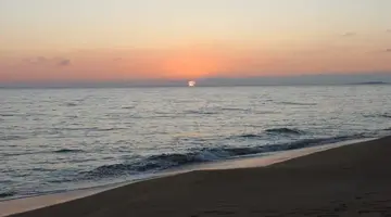 Golden Sands