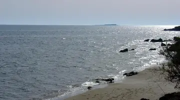 Golden Sands