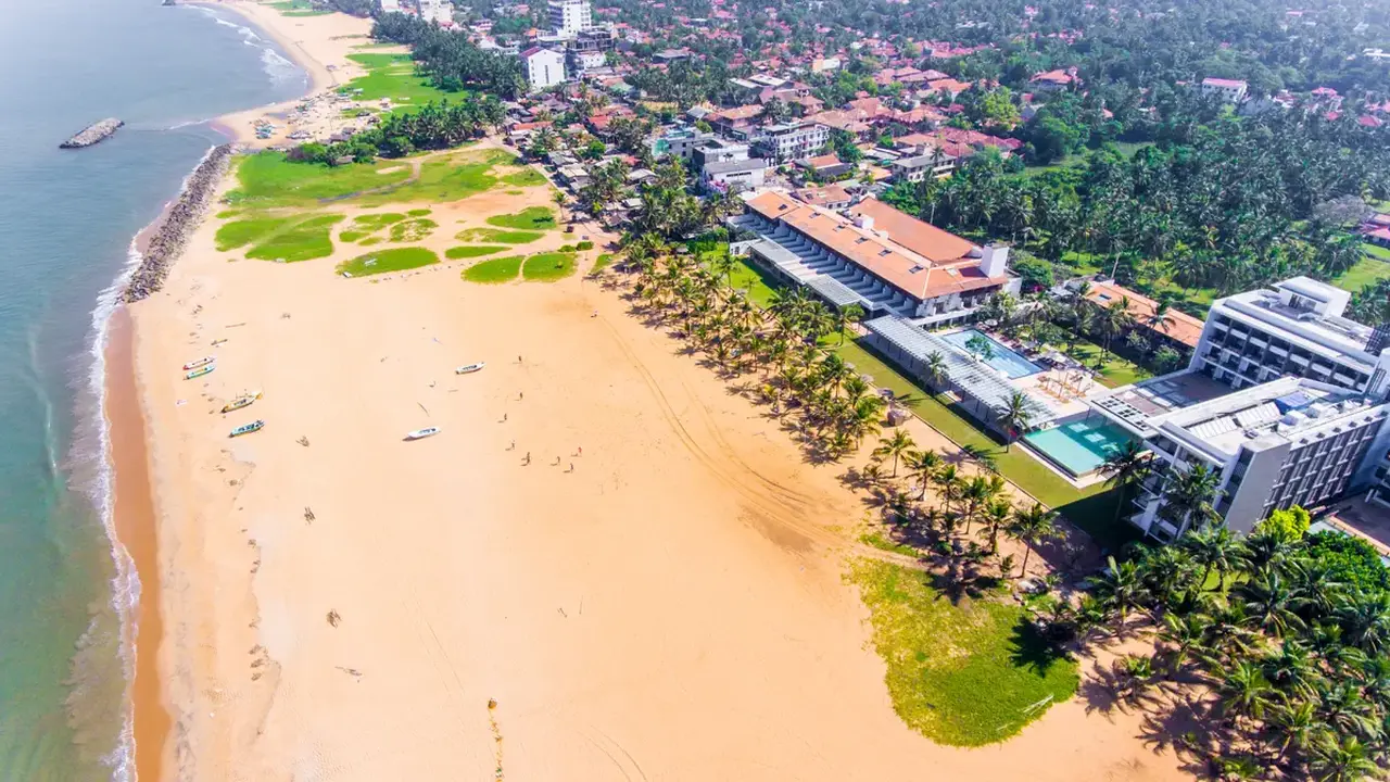 GOLDI SANDS