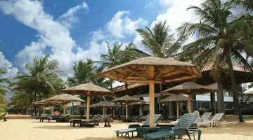 Goldi Sands