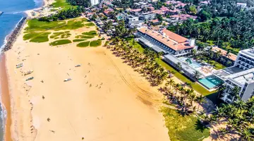 Goldi Sands