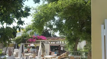 Gorgona Studios