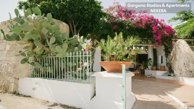Gorgona Studios