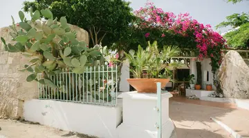 Gorgona Studios