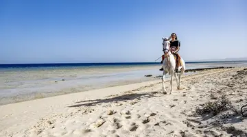 GORGONIA BEACH RESORT
