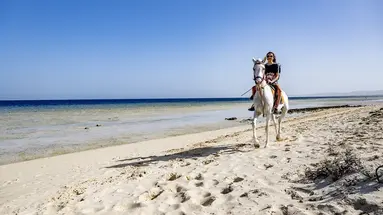 GORGONIA BEACH RESORT