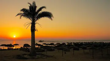 Gorgonia Beach Resort