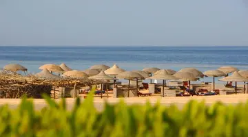 Gorgonia Beach Resort