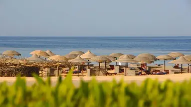 Gorgonia Beach Resort