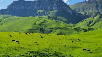 Górskie Wyzwania - Armenia w Cieniu Araratu