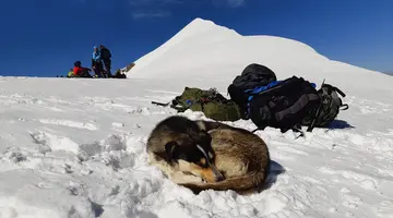 Górskie Wyzwania - Kazbek