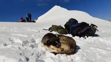 Górskie Wyzwania - Kazbek