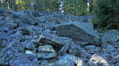 GÓRY ŚWIĘTOKRZYSKIE - 1 dzień