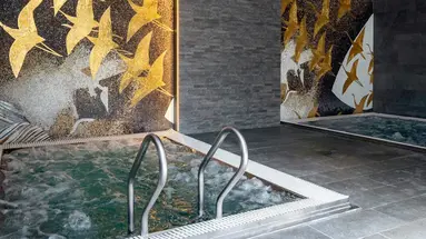 Graal SPA
