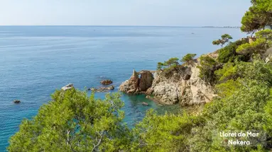 Gran Garbi