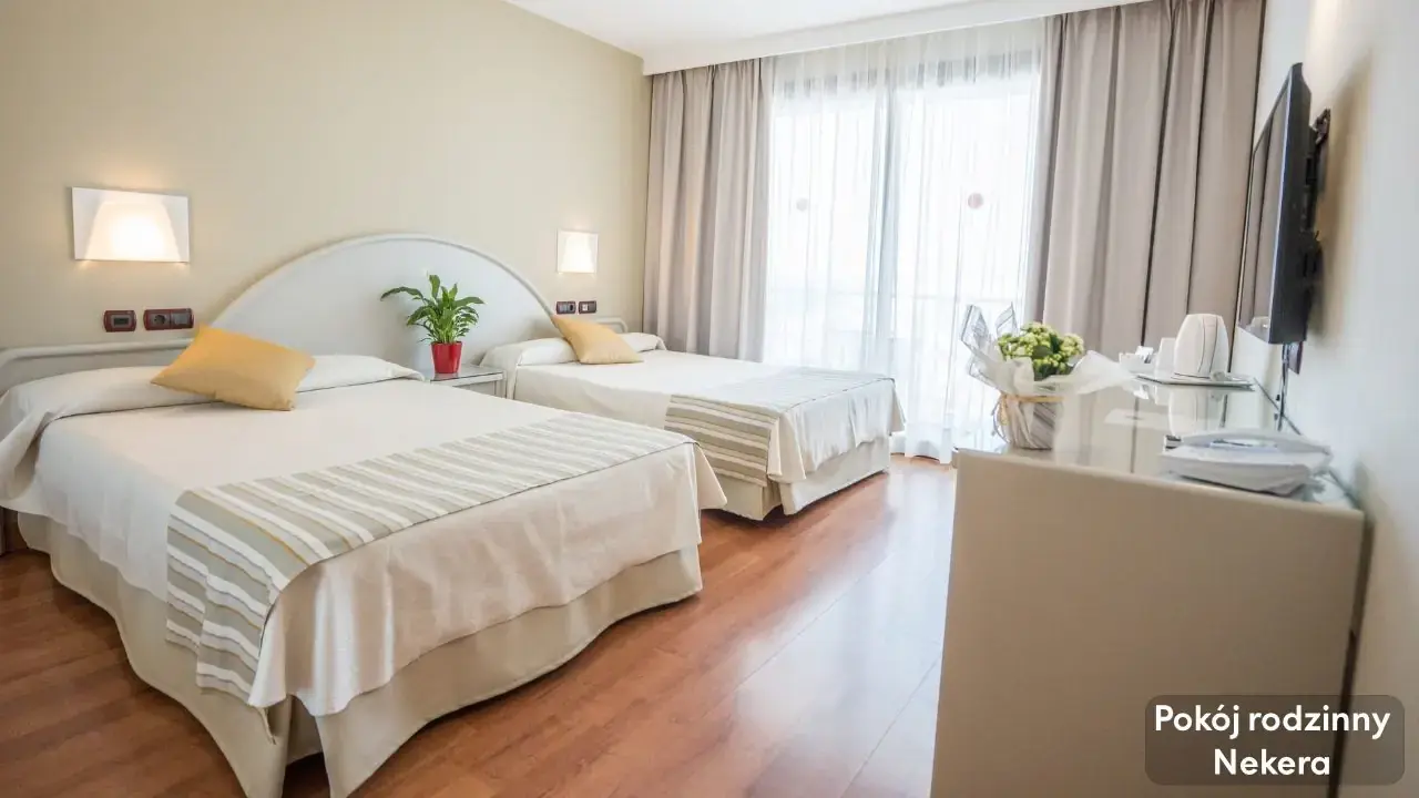 Gran Hotel Costa del Sol