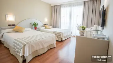 Gran Hotel Costa del Sol