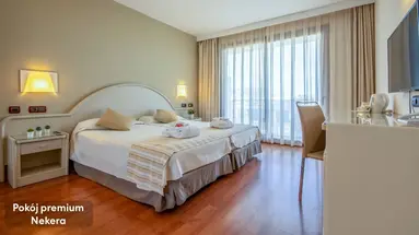 Gran Hotel Costa del Sol