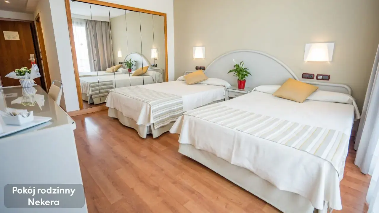 Gran Hotel Costa del Sol