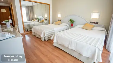Gran Hotel Costa del Sol