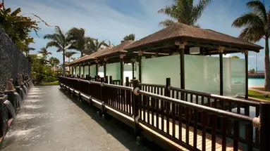 GRAN MELIA PALACIO DE ISORA