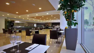 Gran Palas