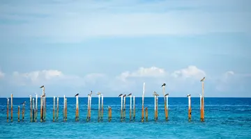 Grand Aston Varadero