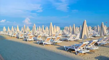 Grand Blue Fafa