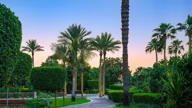 Grand Hyatt Dubai and Waterpark