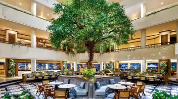 Grand Mirage
