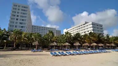 Grand Oasis Palm