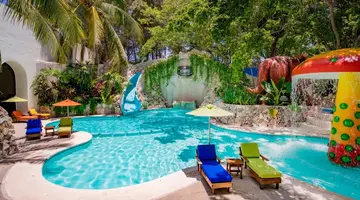 Grand Oasis Palm