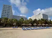Grand Oasis Palm