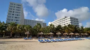 Grand Oasis Palm