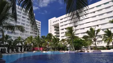 Grand Oasis Palm
