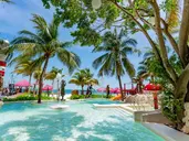 Grand Oasis Palm