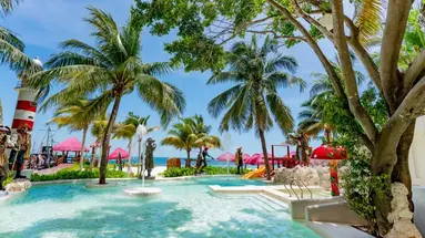 Grand Oasis Palm