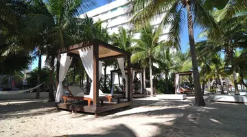 Grand Oasis Palm