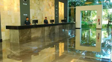 Grand Oasis Palm