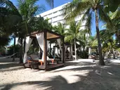 Grand Oasis Palm