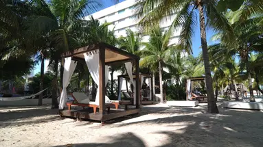 Grand Oasis Palm