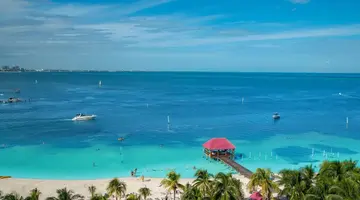 Grand Oasis Palm