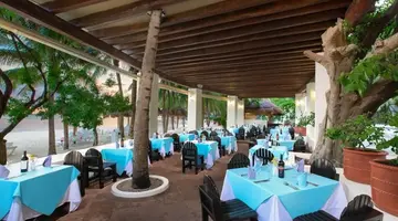 Grand Oasis Palm