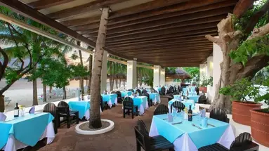 Grand Oasis Palm